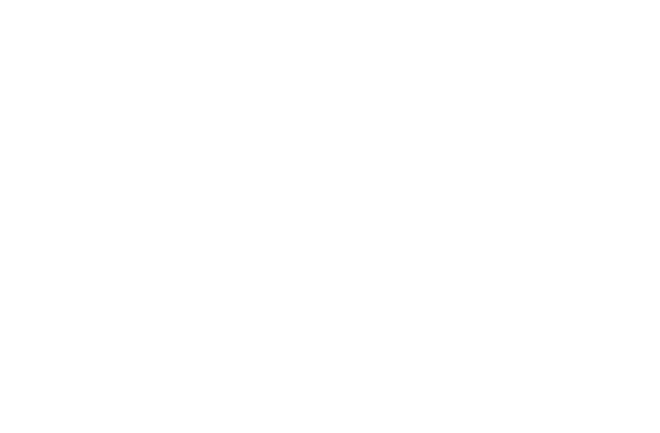 Das Logo von PUMA® SAFETY in weiß