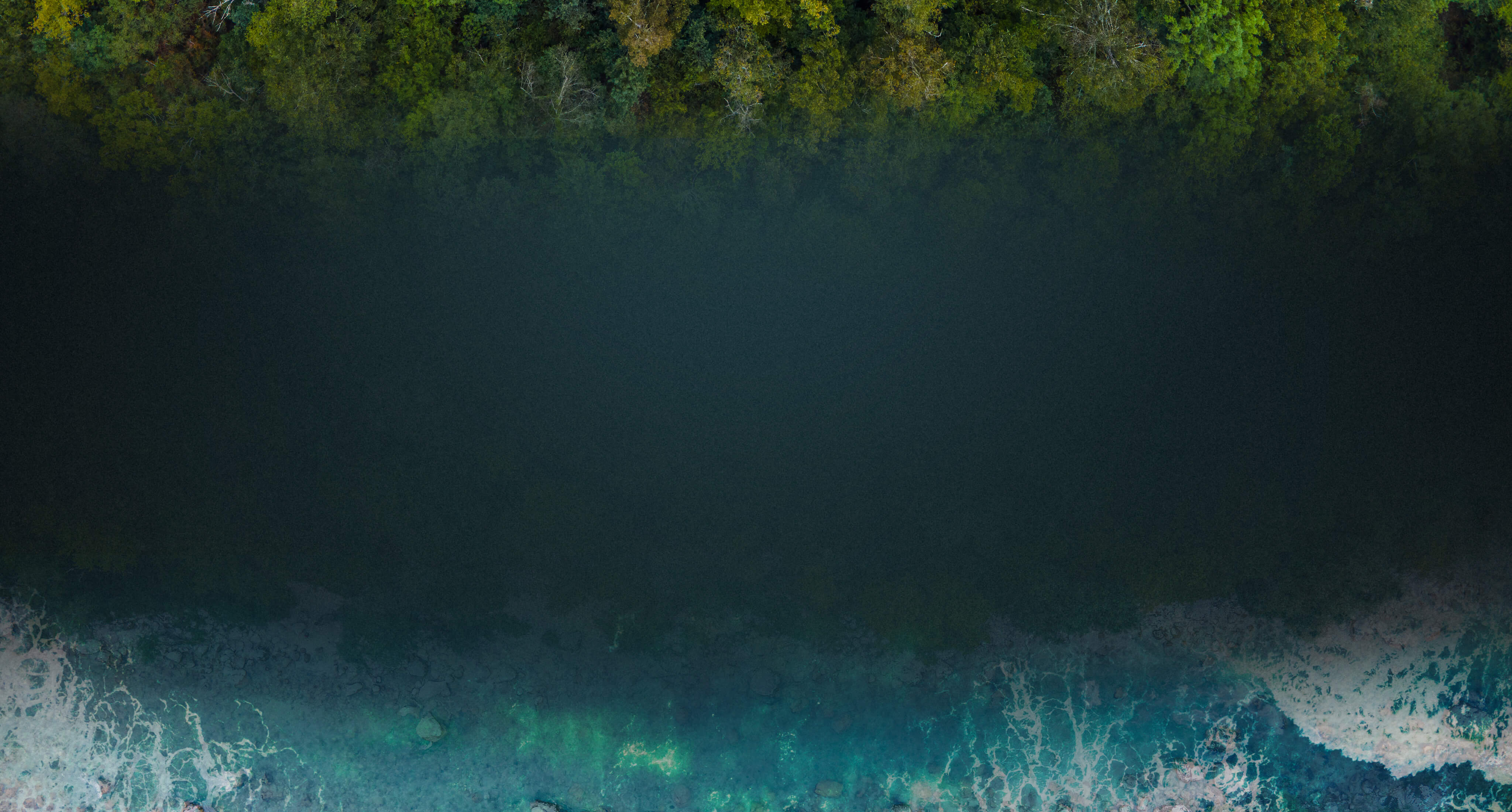 Luftaufnahme eines Waldrandes mit grünem Blätterdach, unten Übergang zu dunklem Wasser mit leichten Wellen und Farbverläufen.