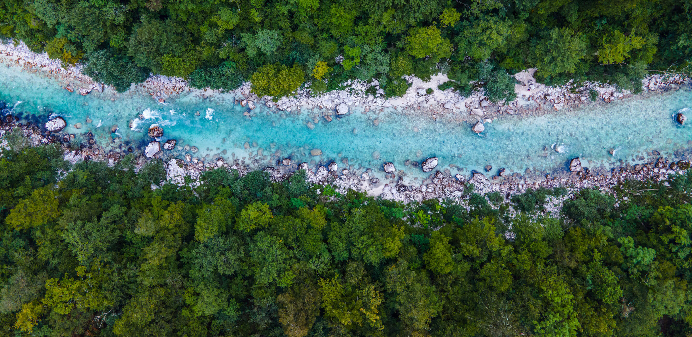 Luftaufnahme eines türkisblauen Flusses, der sich durch einen Wald mit dichtem grünen Blätterdach und Felsen am Ufer schlängelt.